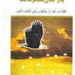 شاهین ها بازمیگردند