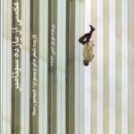 عکسی از یازده سپتامبر: گزیده‌ی اشعار ویسواوا شیمبورسکا