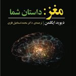 مغز: داستان شما