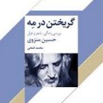 گریختن در مه