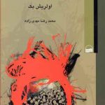 جامعه در مخاطره جهانی