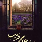 سایه‌های فریب