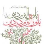 پلورالیزم دینی یا پلورالیزم در دین