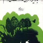 بار دیگر شهری که دوست می‌داشتم