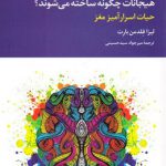 هيجانات چگونه ساخته مي‌شوند (حيات اسرارآميز مغز)