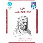 شرح گزیده دیوان متنبی