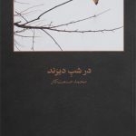 در شب دیرند