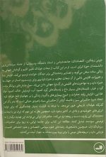 حکم‌رانی سبز، حکم‌رانی سیاه