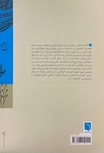 مغز اجتماعی