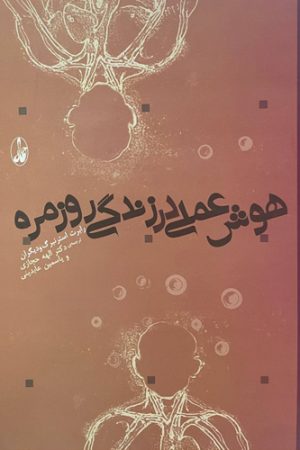 هوش عملی در زندگی روزمره